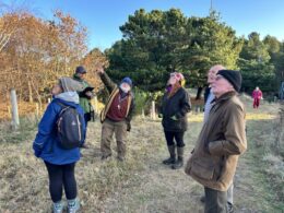 Planning for Nature Recovery – LBAP