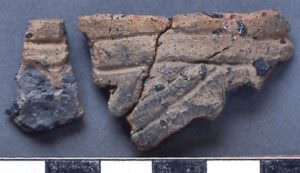 Beaker sherds