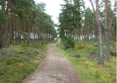 Wilkies Wood. S.Reed