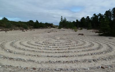 Dune Restoration Project Update
