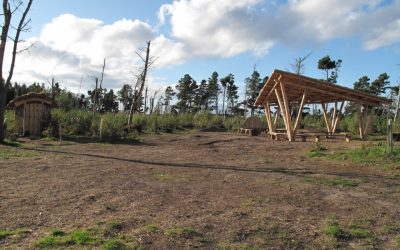 Dune Restoration Project – Celebrating the First Phase Completion