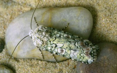 Chair’s Report – Autumn/Winter 2024