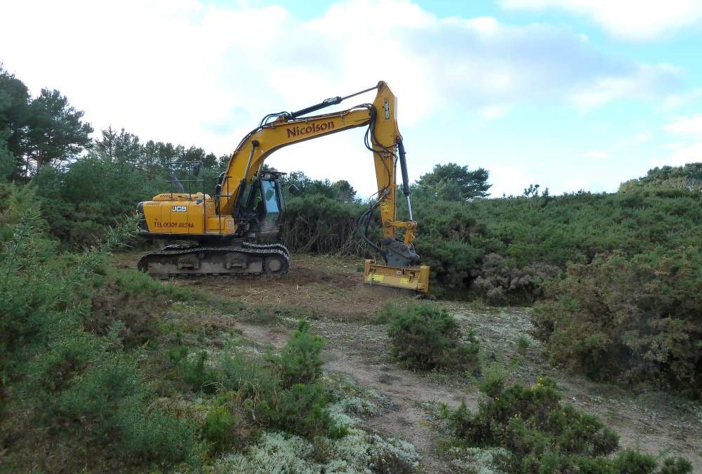 Findhorn Hinterland Trust Conservation & Ecology Mulching-gorse-Heathneuk-2020