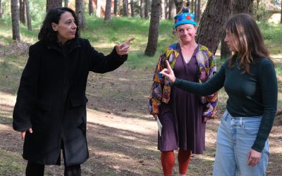 Chair’s Report – Spring/Summer 2024