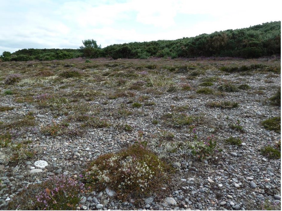 Findhorn Hinterland Education, Ecovillage, Moray