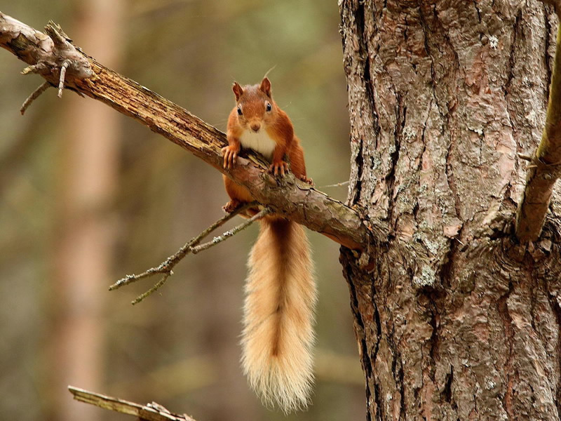 Findhorn Hinterland Charitable Trust Donate and Support Our work