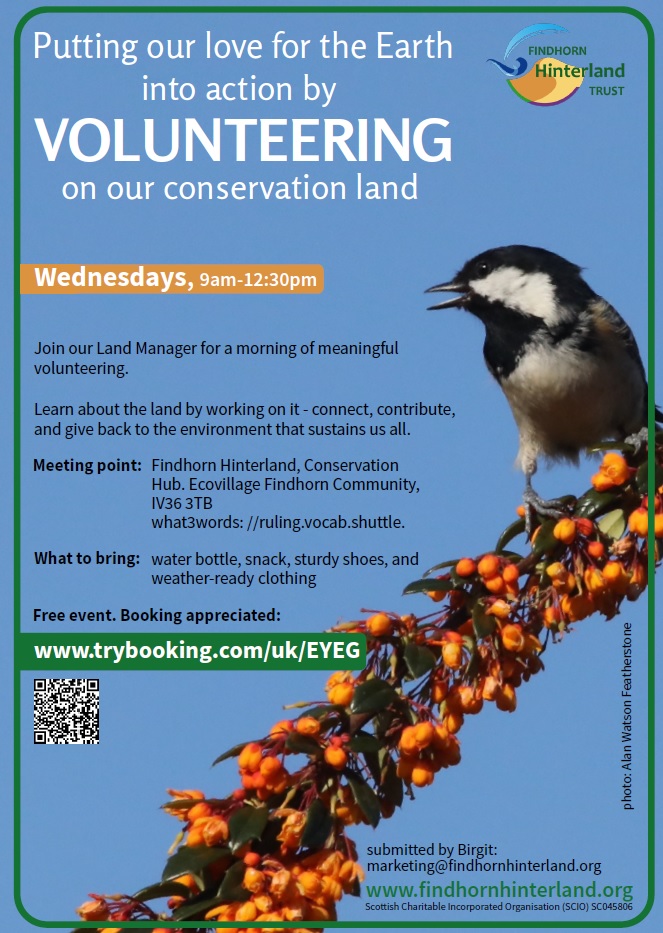 Findhorn Hinterland Trust Volunteer