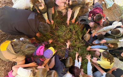 Forres Academy visits the Hinterland