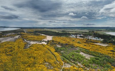 New Funding for crucial surveys