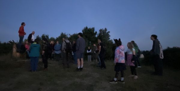Group Bat hunting on dunes