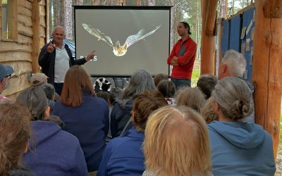 Echoes in the Dusk: Meeting Findhorn’s Bats 