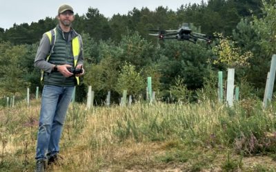 Lichen spotting – at 50 miles