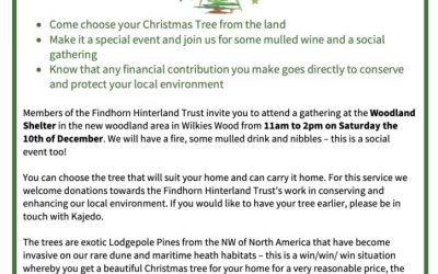 Christmas Tree Event