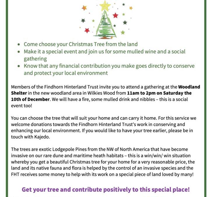 Christmas Tree Event