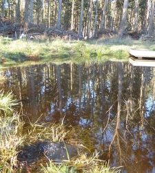Pond Volunteer Training Day 10am – 3.30pm