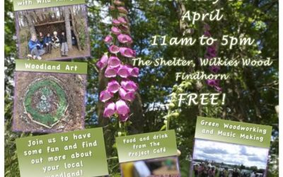Wilkies Wood Woodland Festival