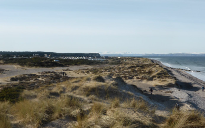 Developing a Vision – Thursday 31st March – 10am-12pm & 4pm-8pm